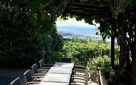 Agriturismo Fattoria Montecontessa